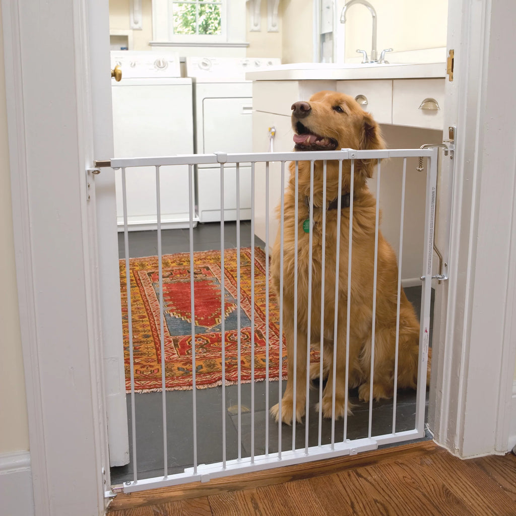 White Pet Safety Gate D953