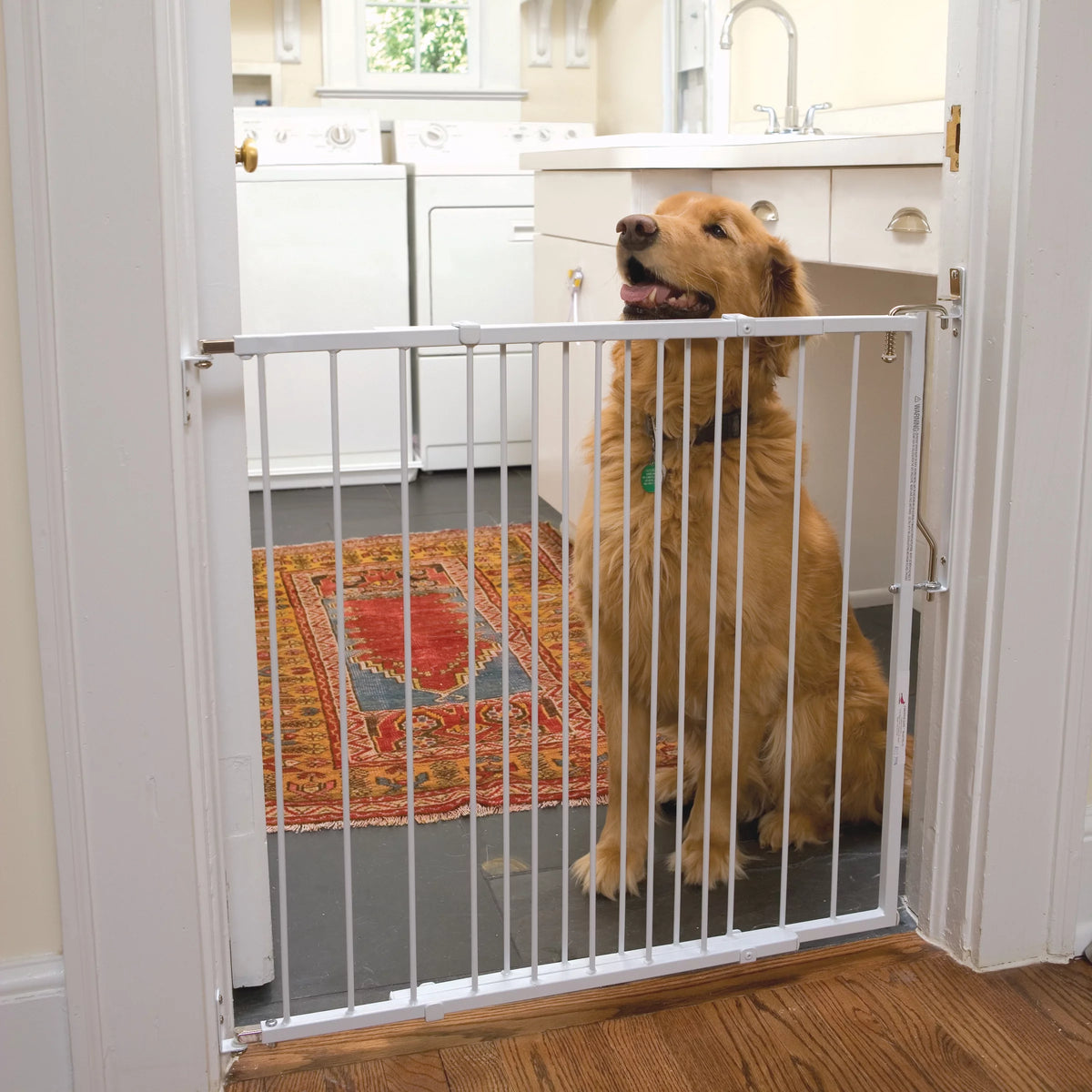 White Pet Safety Gate D953