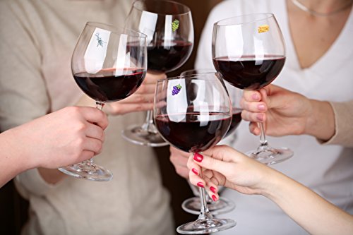 Magnetic Wine Glass Charms Set of 6 A200018