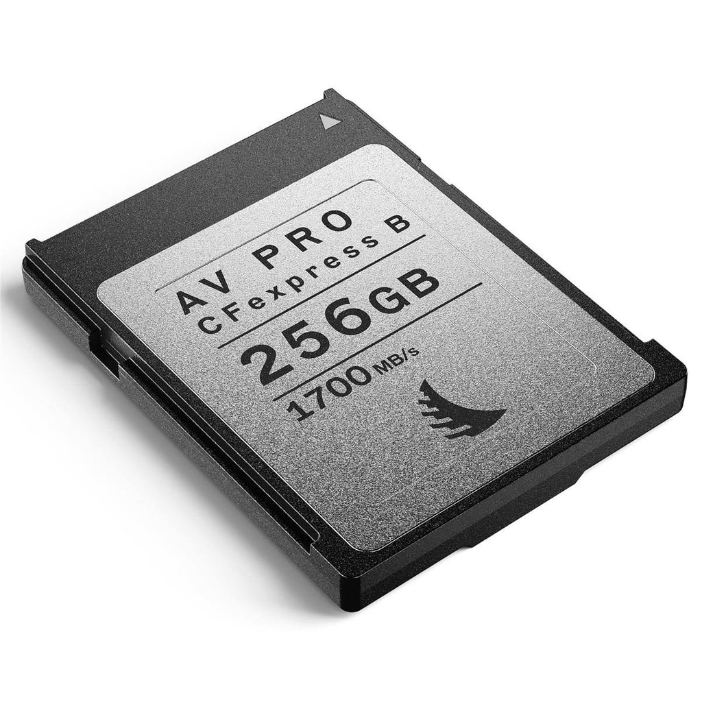 256GB CFexpress 2.0 Type B Memory Card P52096