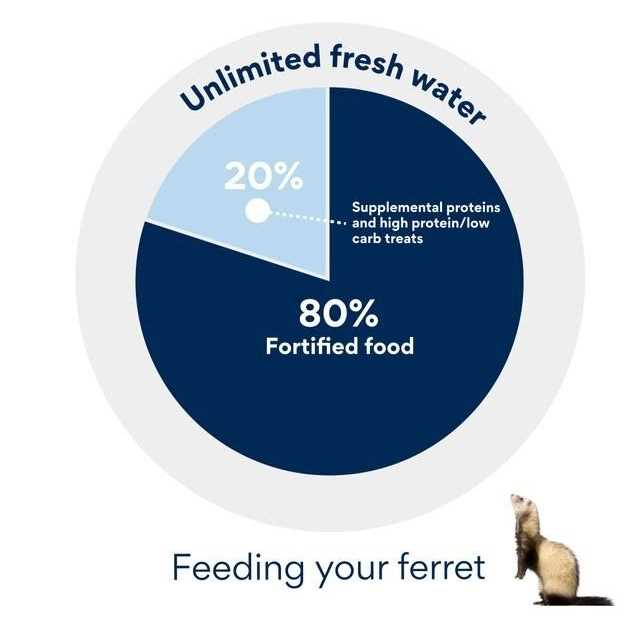 Ferret Soft Treats S97918