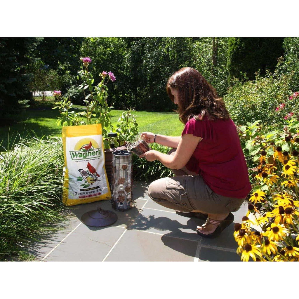 Black Oil Sunflower Seed L88803