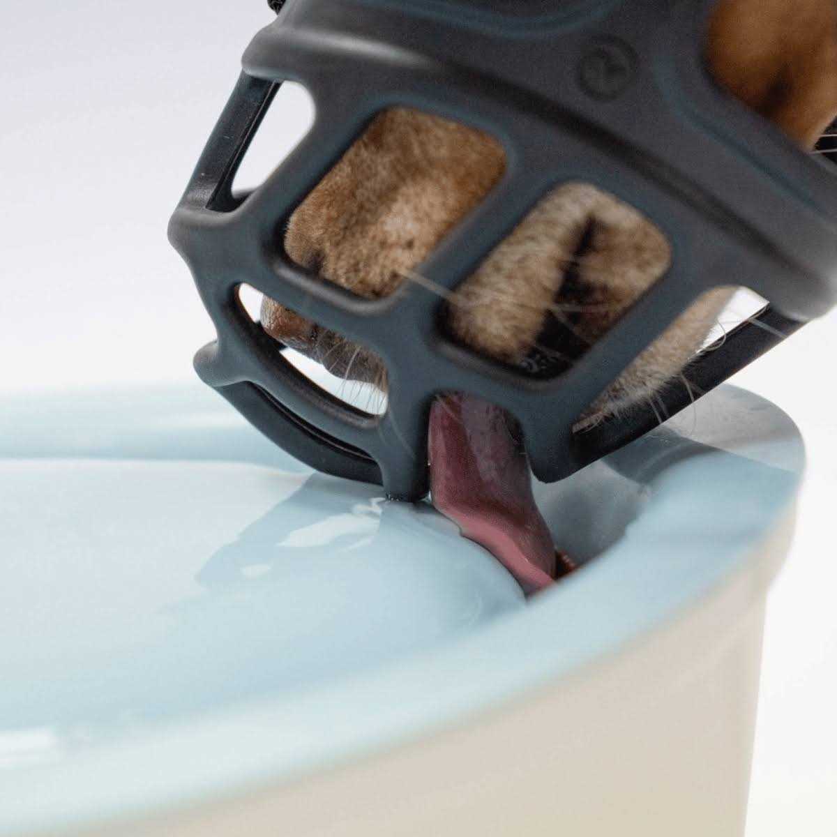 Dog Muzzle G388837