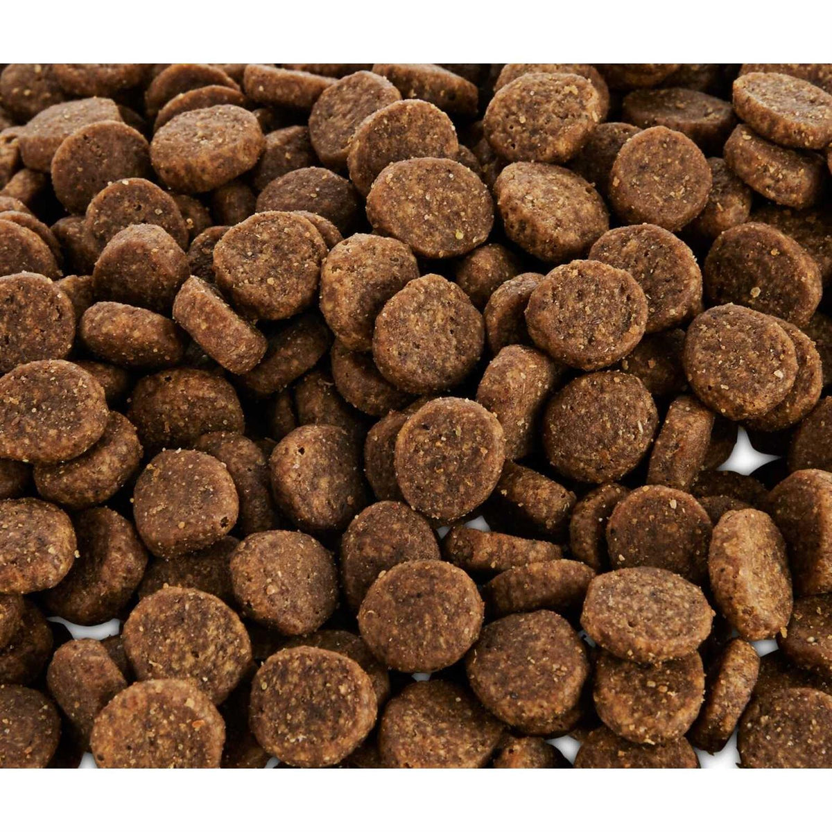 Grain Free Salmon and Pea Recipe Dry Dog Food O326