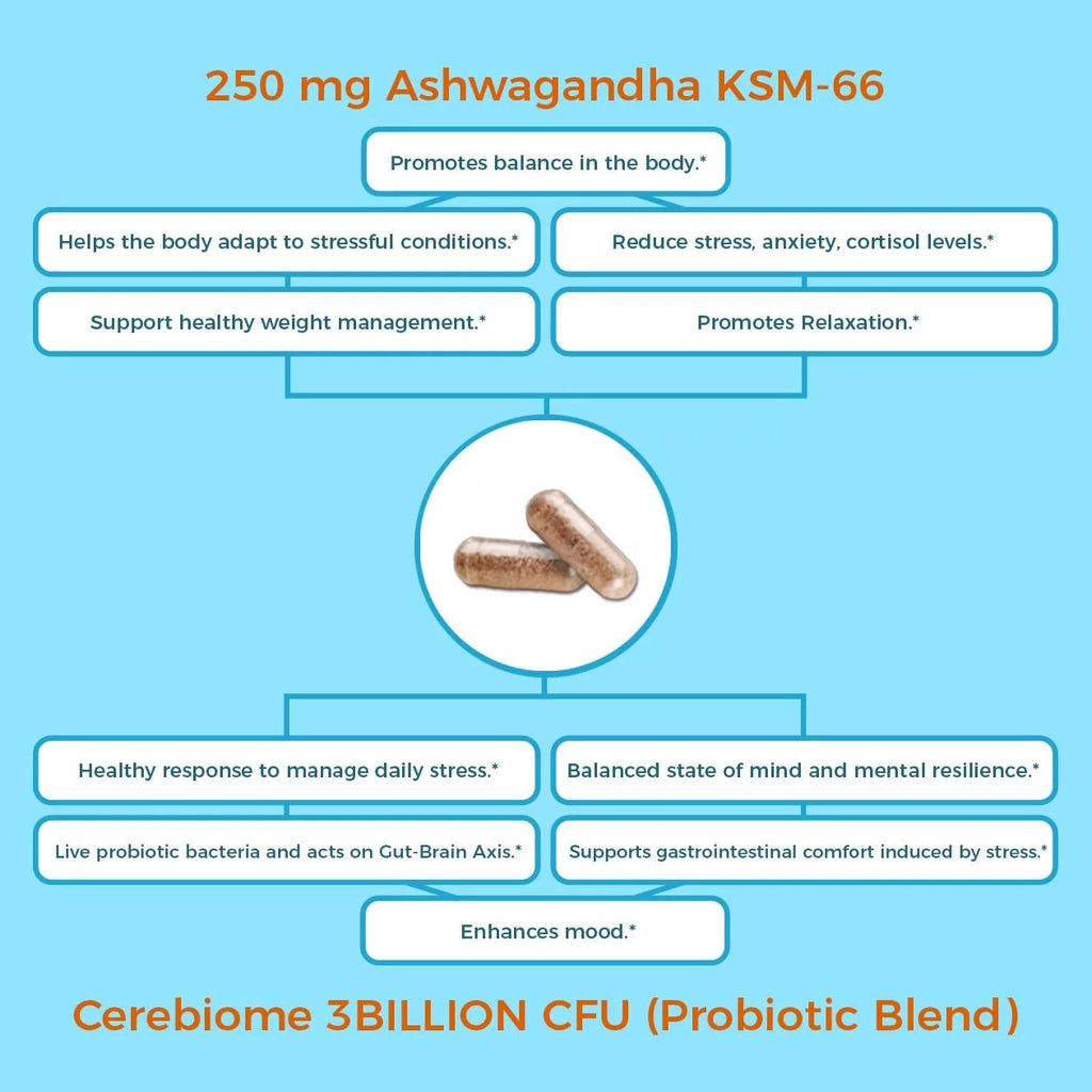 Ashwagandha KSM-66 Vegan Non GMO Supplement G4395