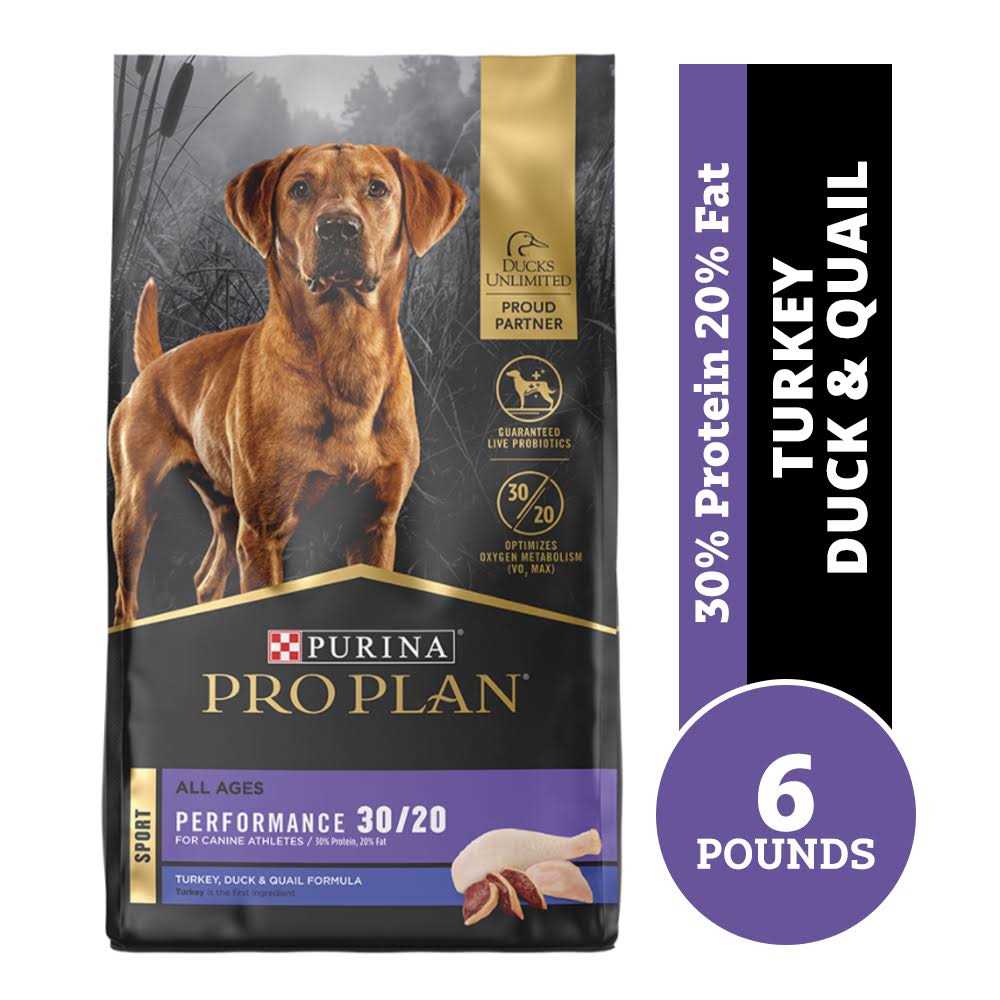 Dry Dog Food P291754