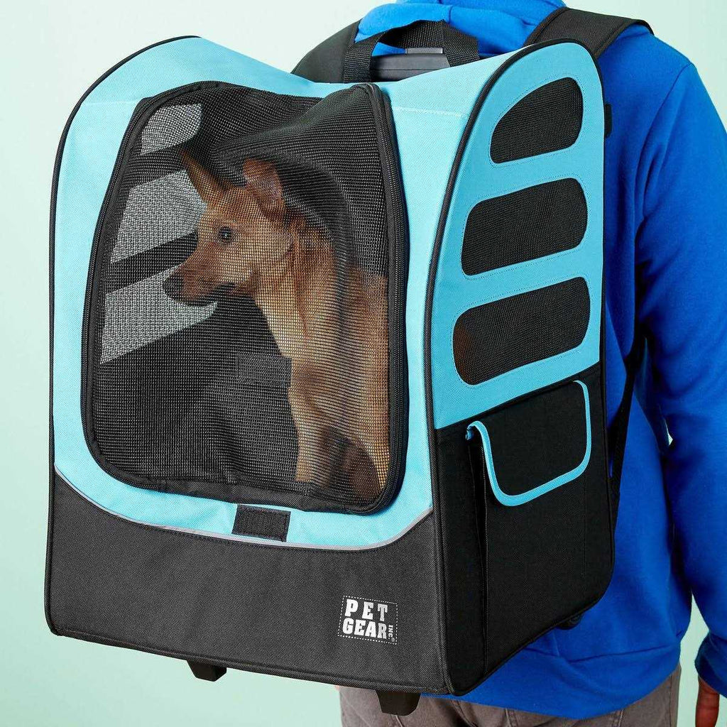 Pet Carrier K8274