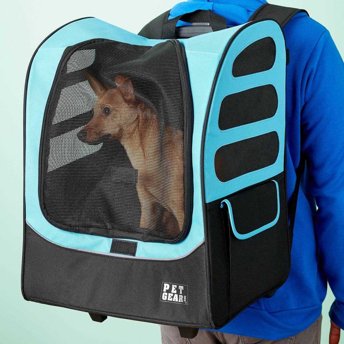 Pet Carrier K8274
