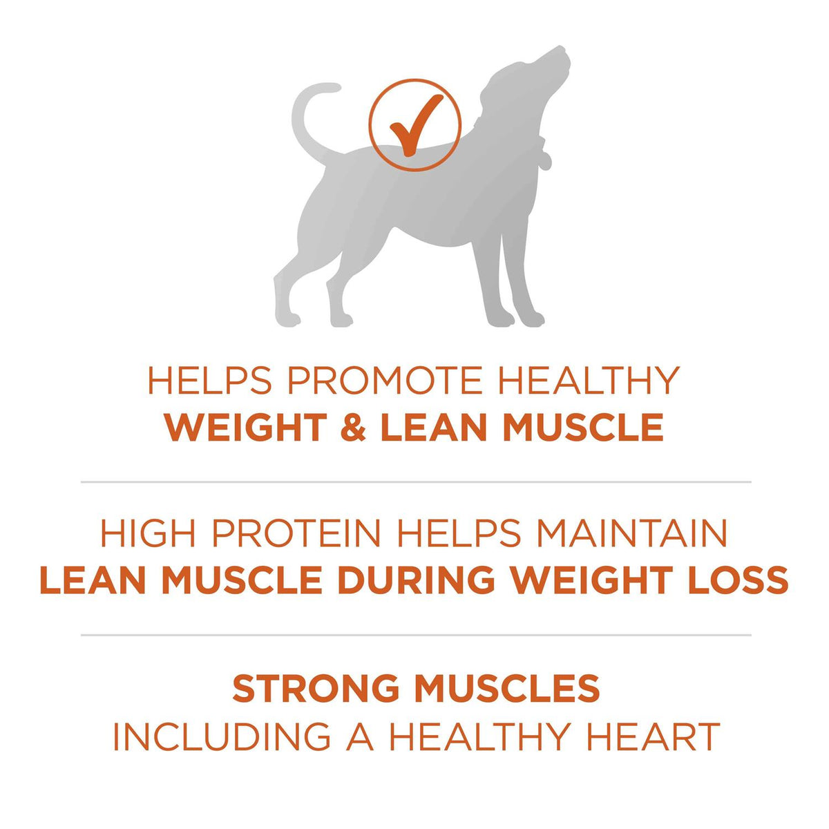 Healthy Weight Dog Food Dry Formula A721