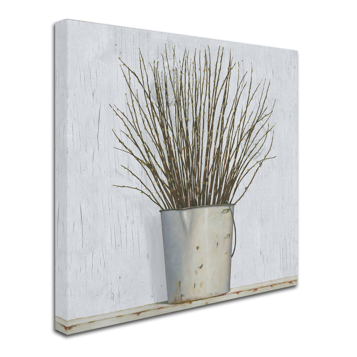 Canvas D286