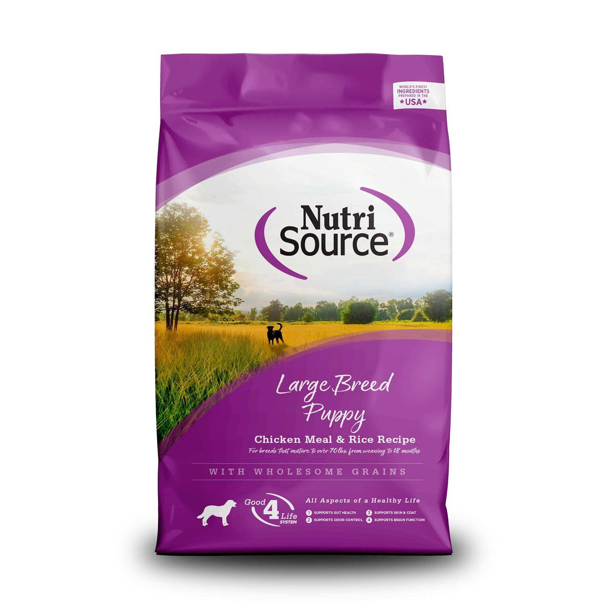Chicken Rice Large-Breed Puppy Dry Dog Food G820639