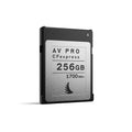 256GB CFexpress 2.0 Type B Memory Card P52096