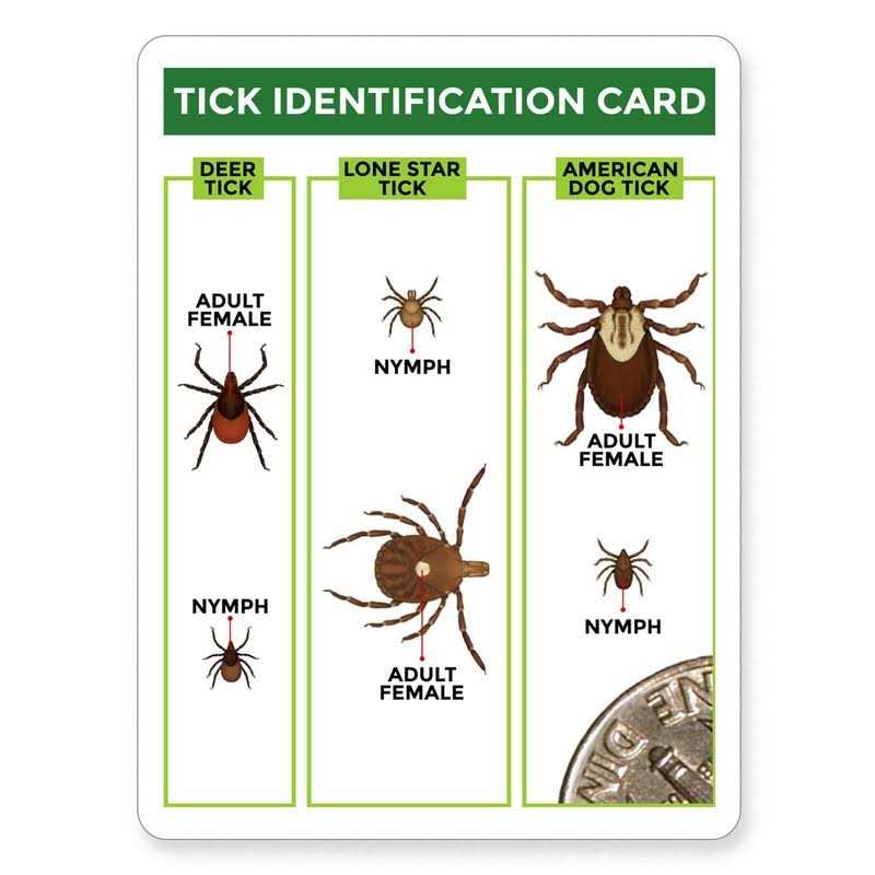 Tick Remover 3 Pack with Identification Card A88047