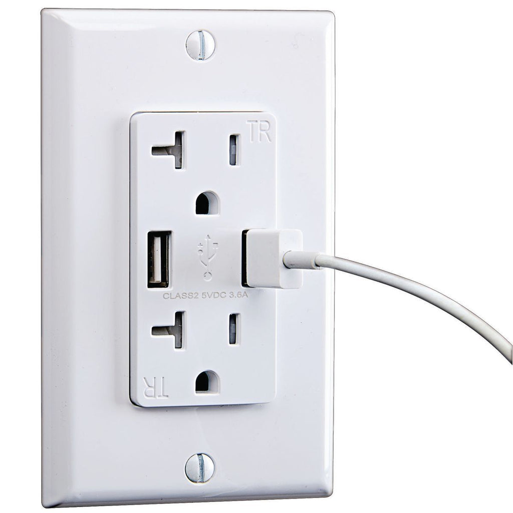 20 Amp 125v 2 USB Rapid Charging Outlet T7349