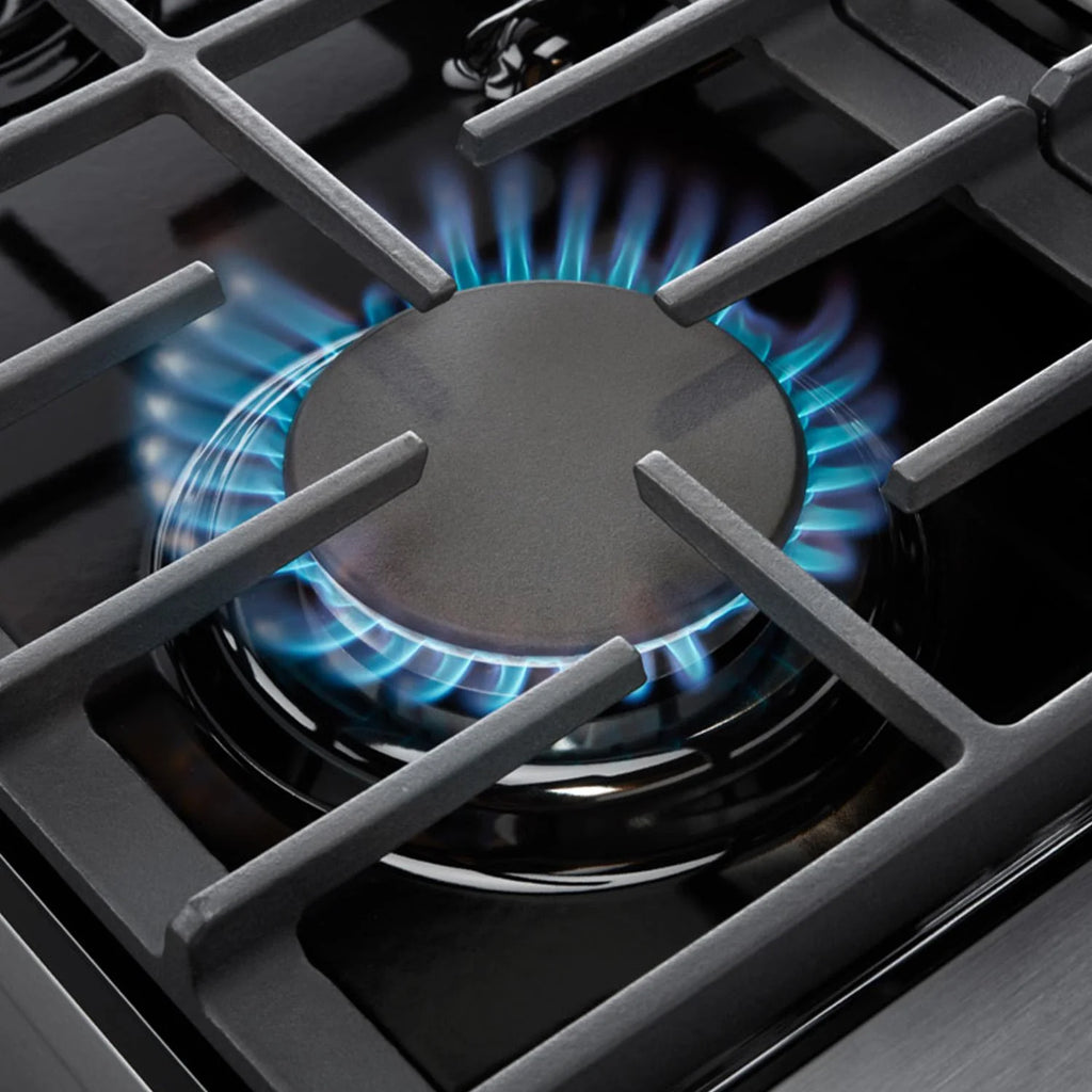 Professional Gas Range Q43591