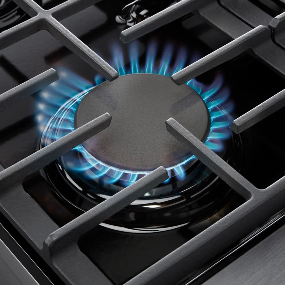 Professional Gas Range Q43591