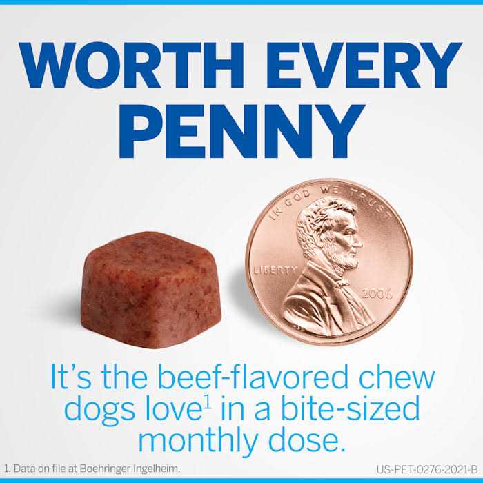 Chewables for Dogs 10.1 to 24 lbs V6836