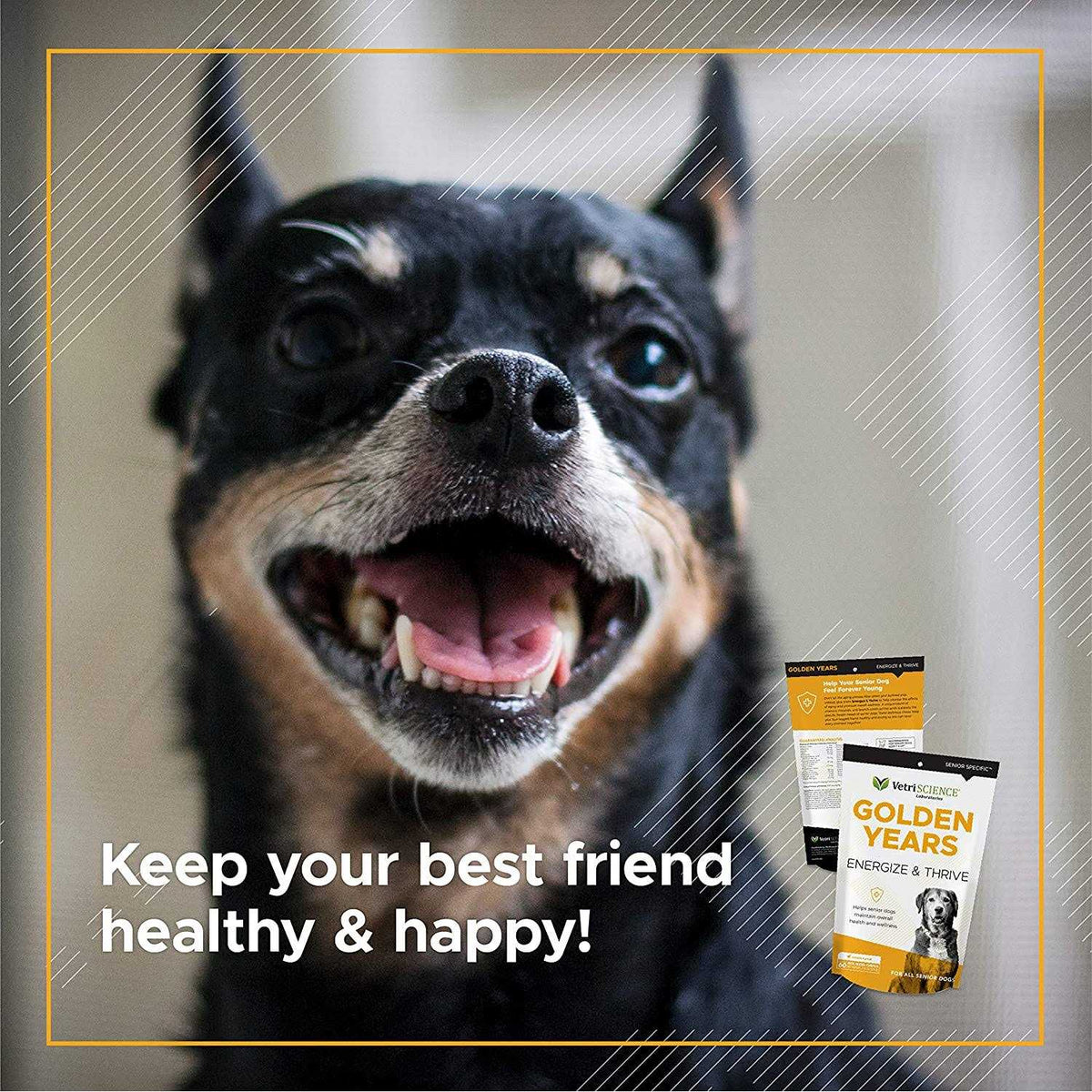 Senior Dogs Multivitamin N7291