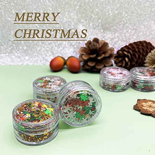 15 Colors Holographic Chunky Cosmetic Sequins with Brush 5 Spoons R184