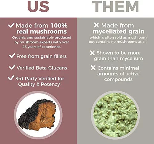 Chaga 120 Capsule L9381