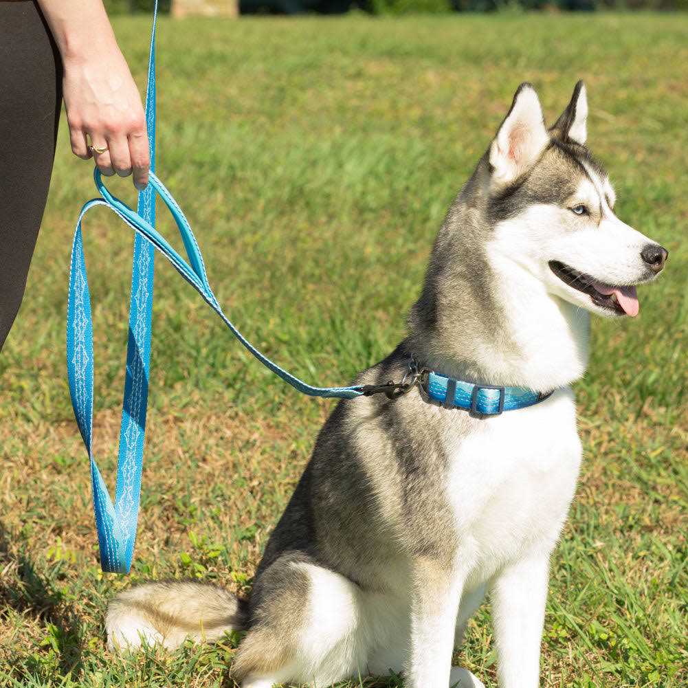 6ft Dog Leash Padded Handle M643246