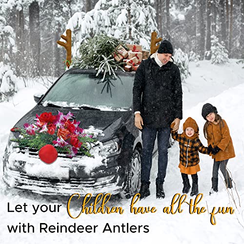Car Reindeer Antlers & Nose Christmas Decoration Kit B3774