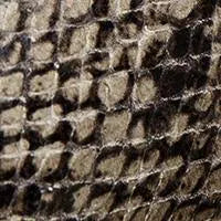 Taupe 8 US G639886