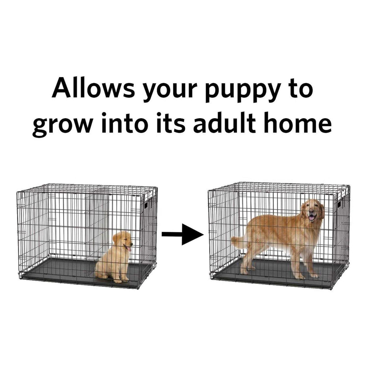 Dog Crate Divider Panel R608