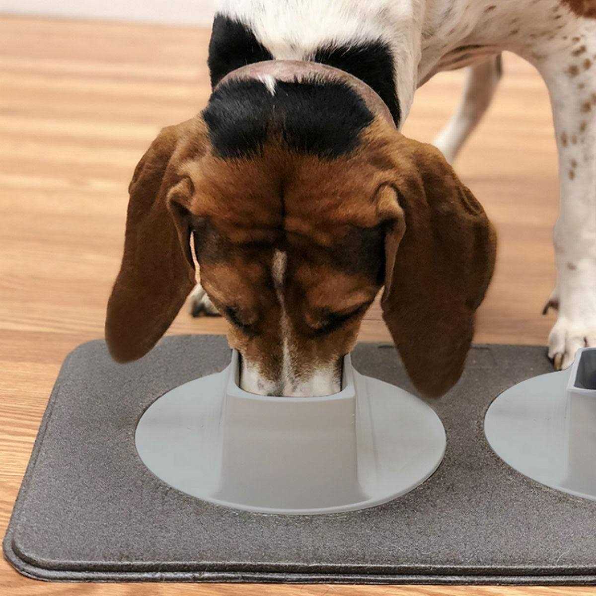 Pet Feeding Station E4221