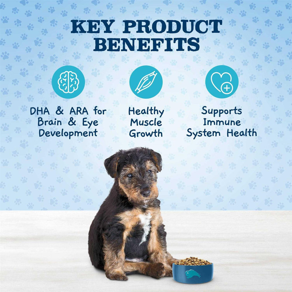 Chicken and Brown Rice Puppy Dry Dog Food R32739