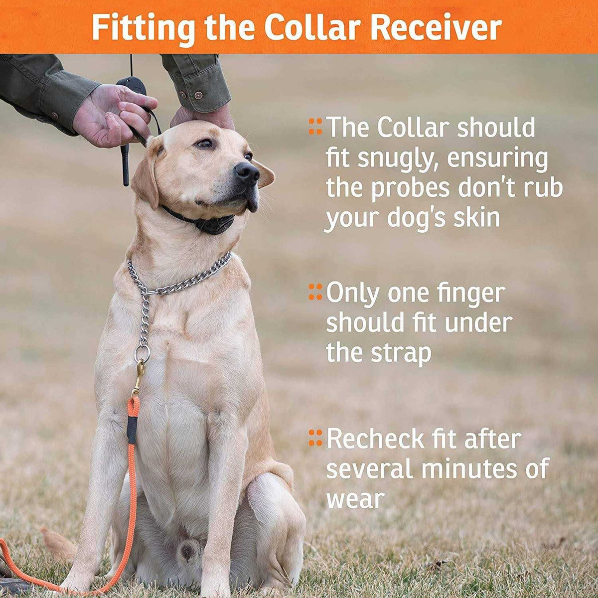 Add-A-Dog Collar D9359