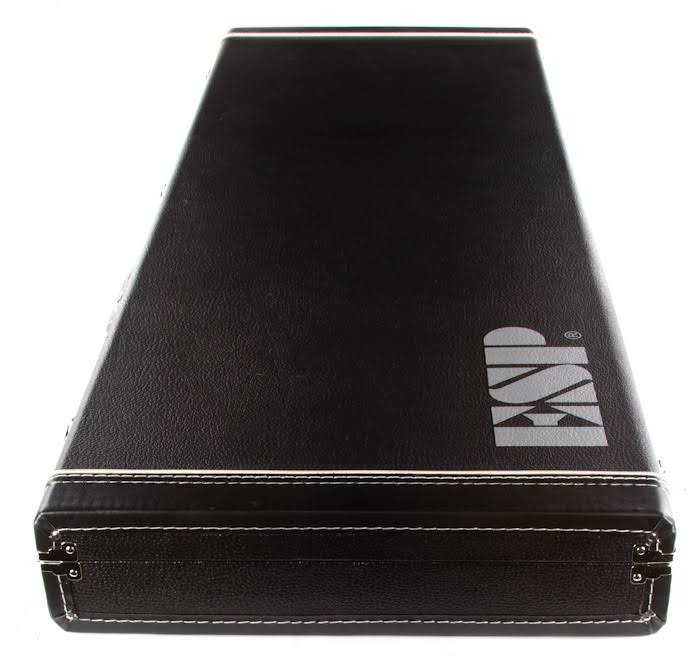 Guitar Case N160