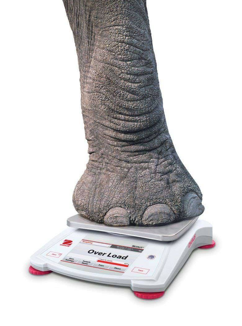 Portable Balance with Touchscreen, 620g Capacity W1582