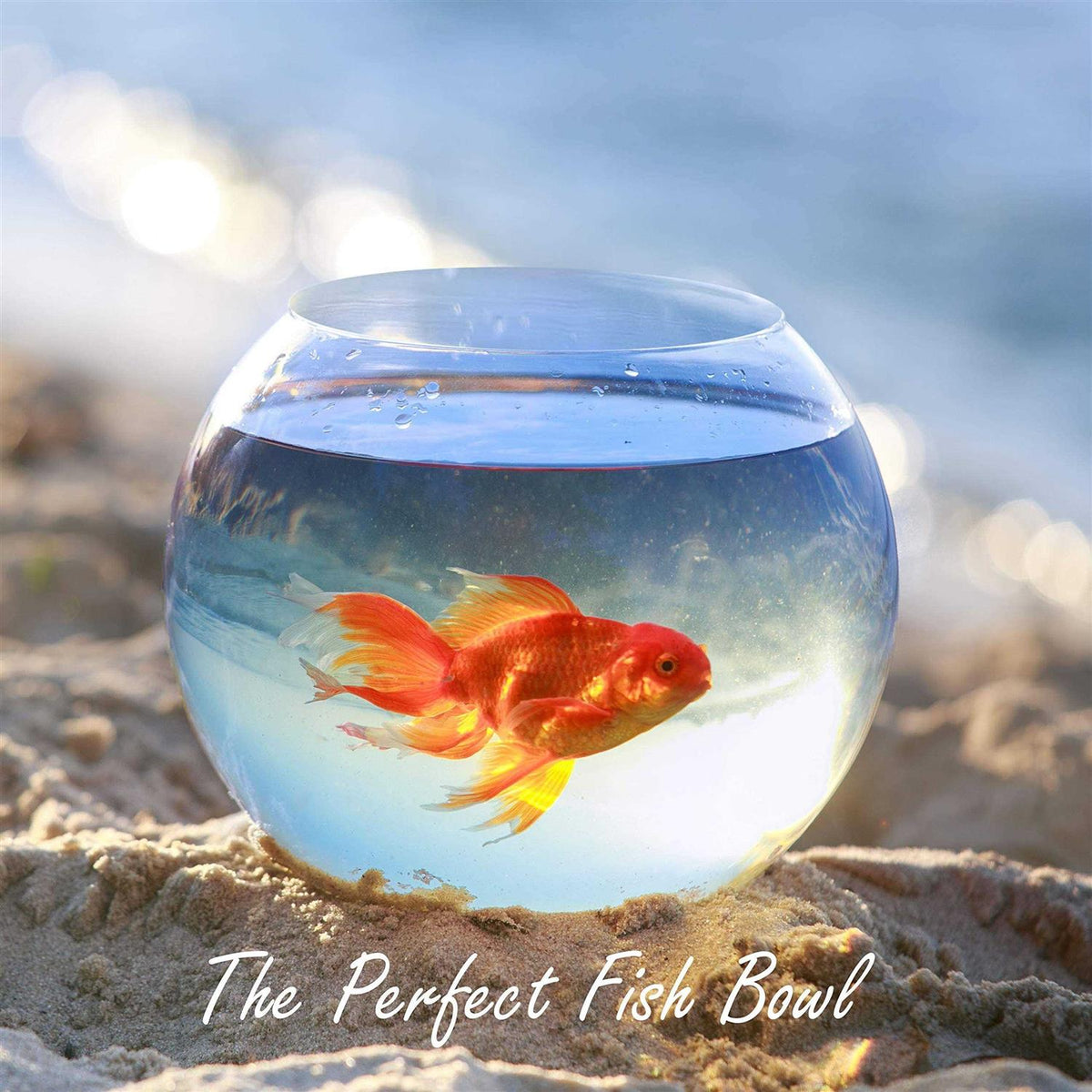 Glass Bubble Bowl Vase W9089