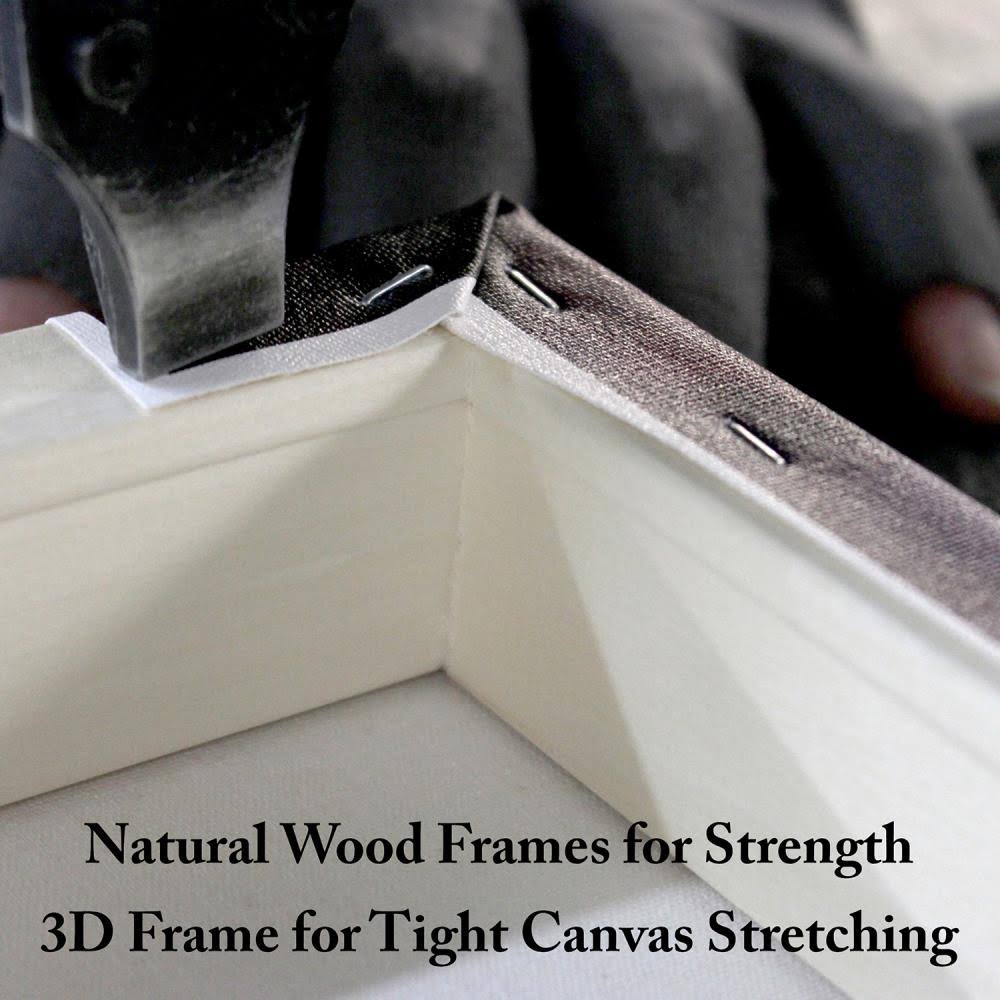 Canvas D286