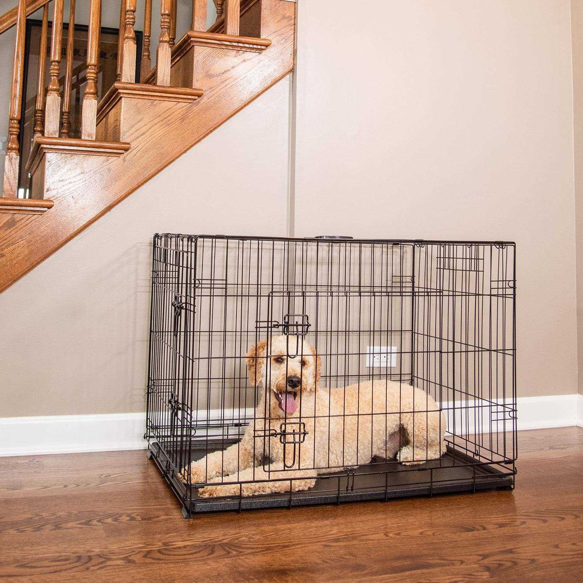 Single-Door Dog Crate T375