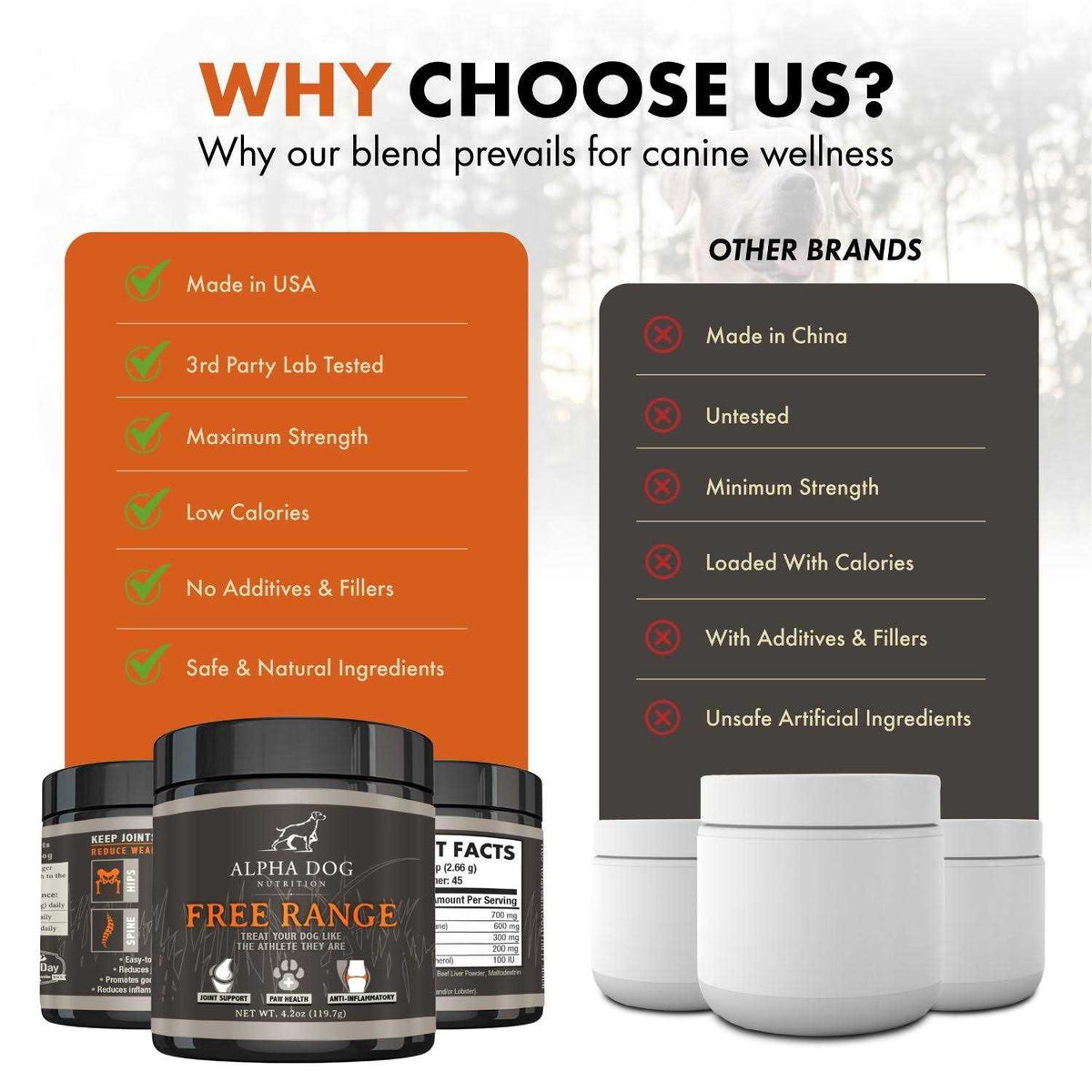 Hip & Joint Supplement for Dogs P6464