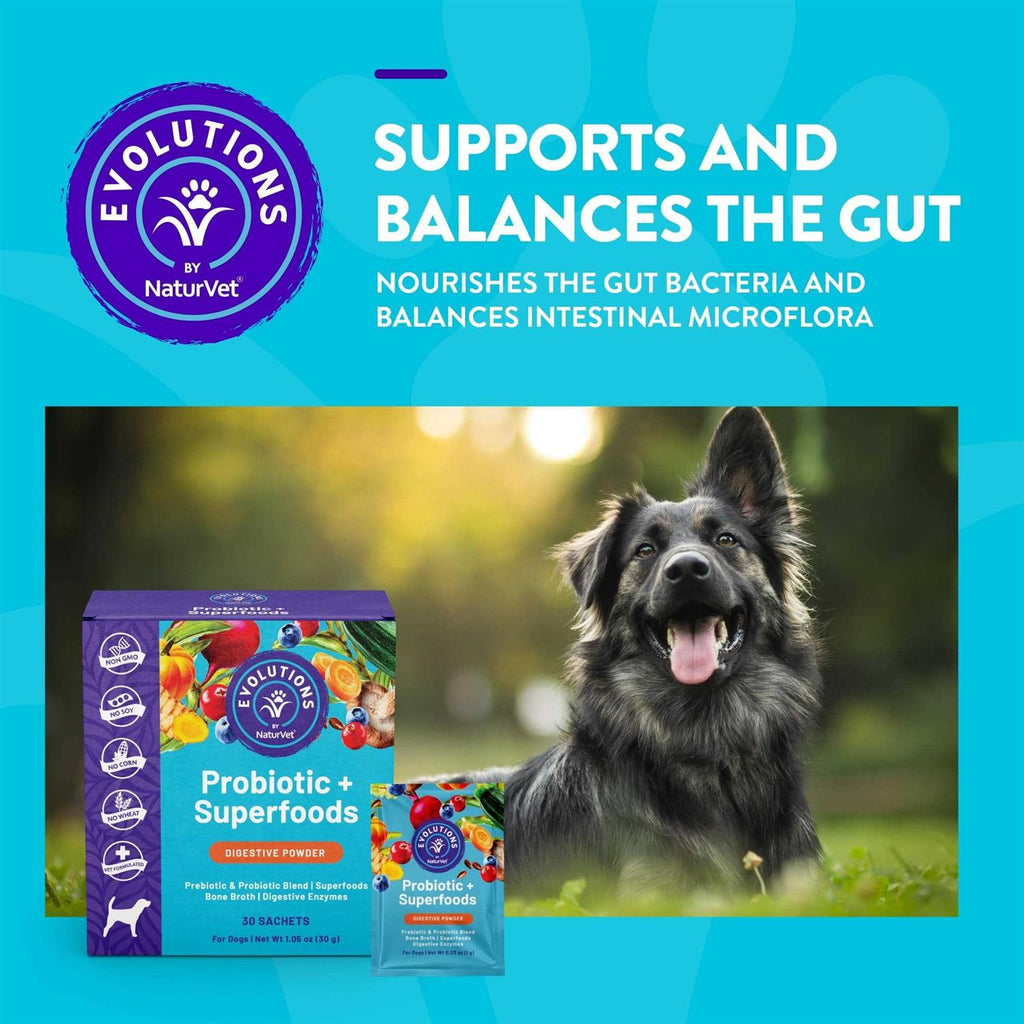 Probiotic Dog Supplement V7290