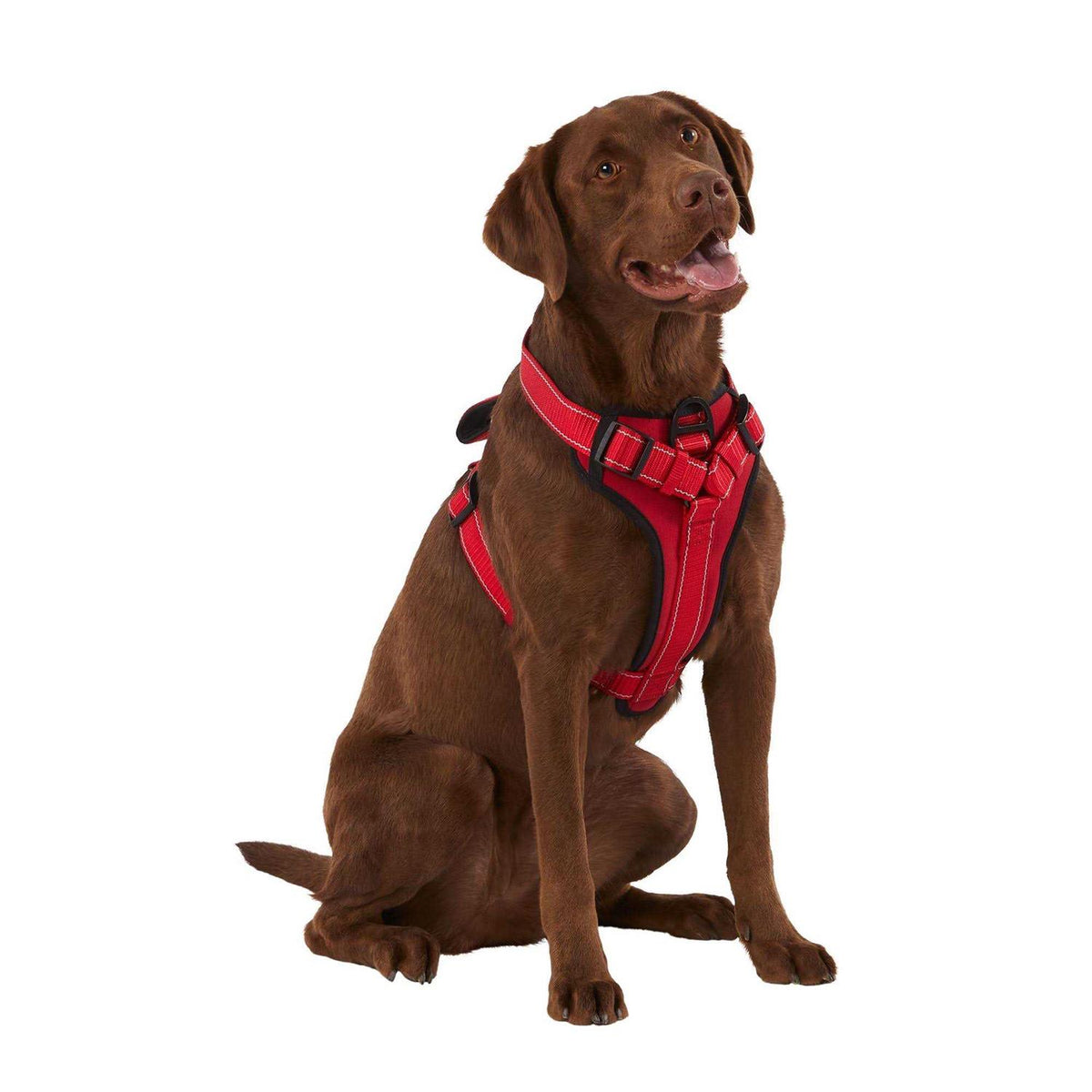 Neoprene Padded Dog Harness D7730