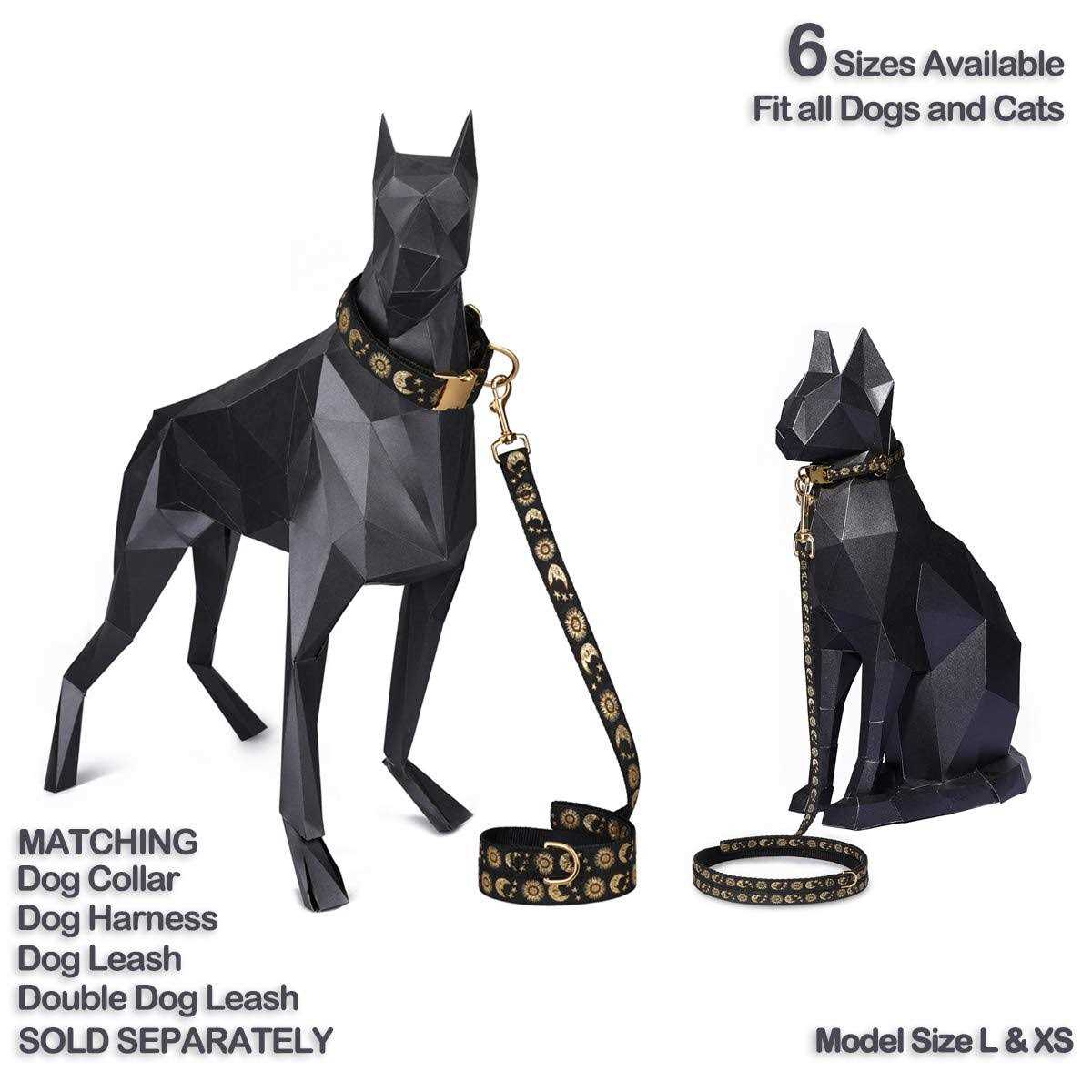 Cat Collar Dog Collar Cat Leash I591646