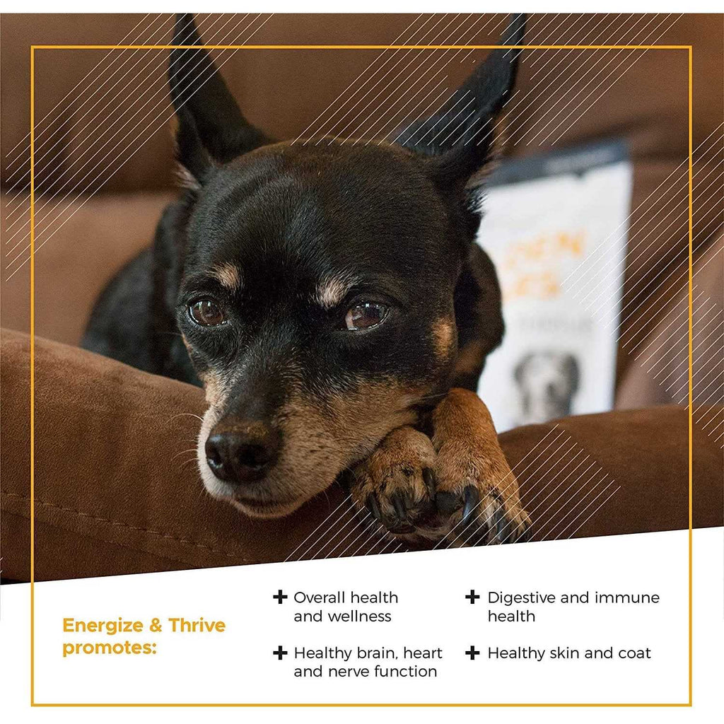 Senior Dogs Multivitamin N7291