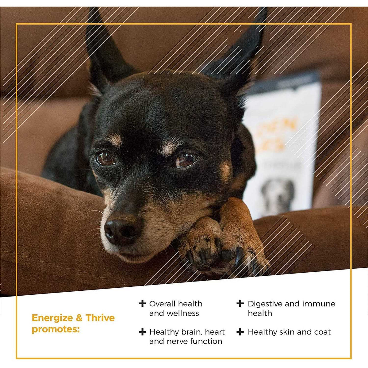 Senior Dogs Multivitamin N7291