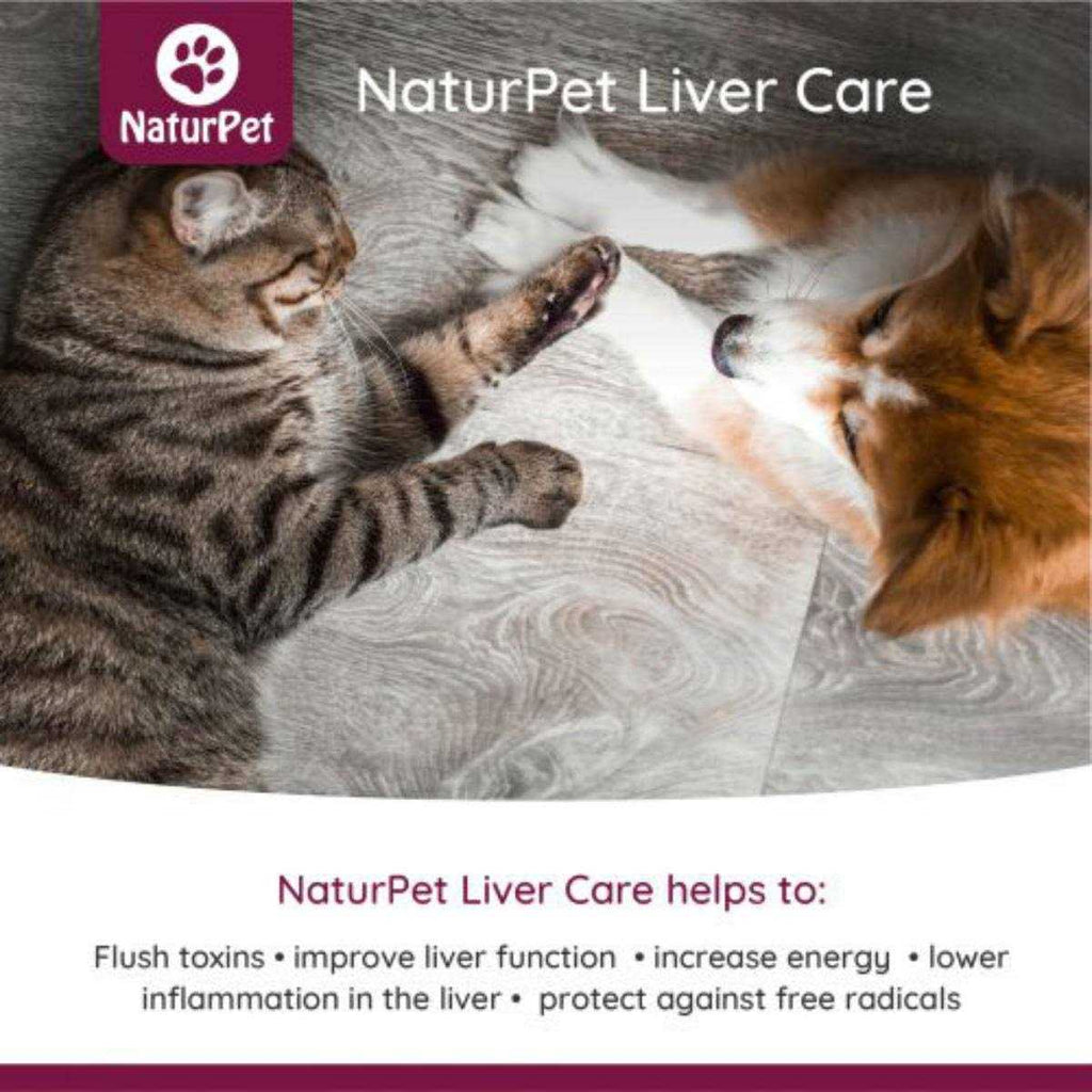 Liver Care 100ml Y390067