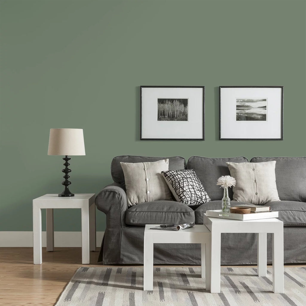 Green Eggshell Interior Paint 1 Gallon E2391