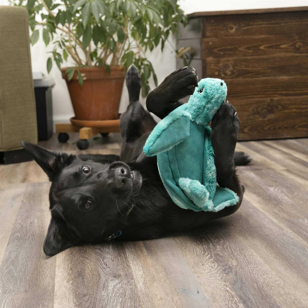 SoftSeas Turtle Dog Toy H188148