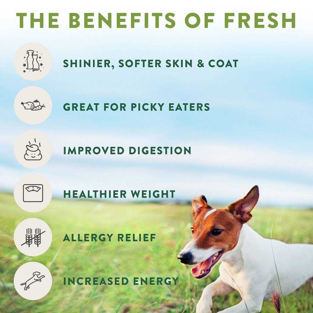 Grain Free Chicken Recipe Slice & Serve Roll Dog Food J459