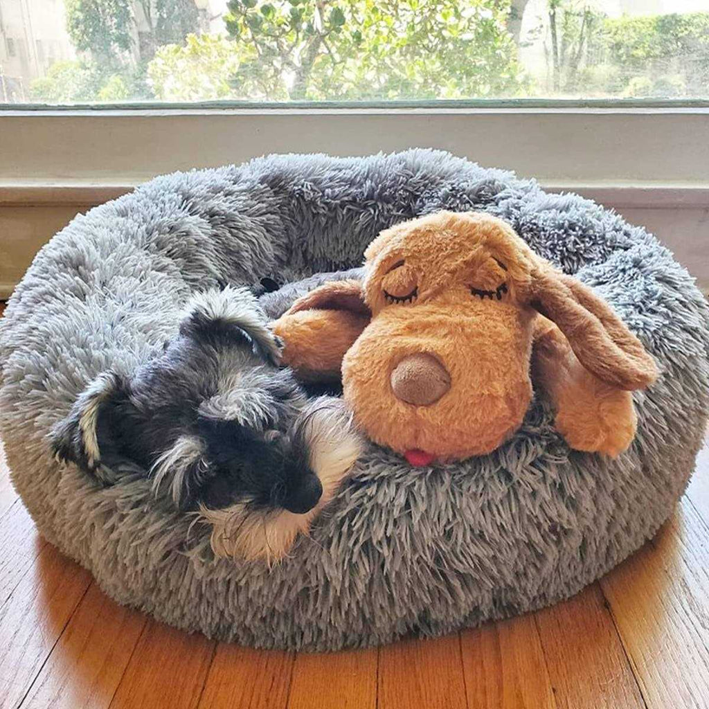 Snuggle Puppy Starter Kit R1135