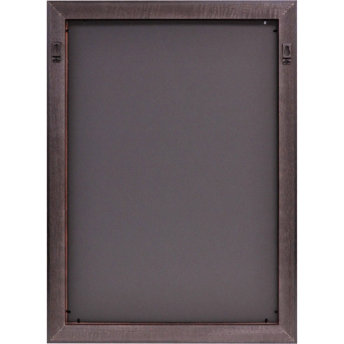 Gold Embossed Diploma Frame with Campus Images Lithograph C169141