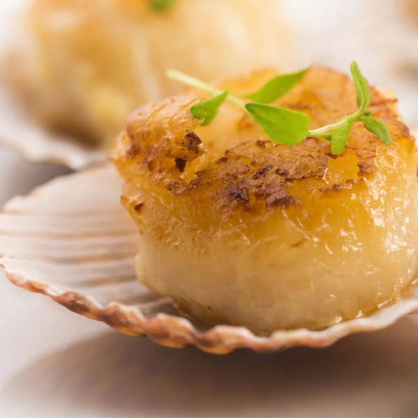 2 lbs Colossal Sea Scallops I543