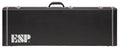 Guitar Case N160